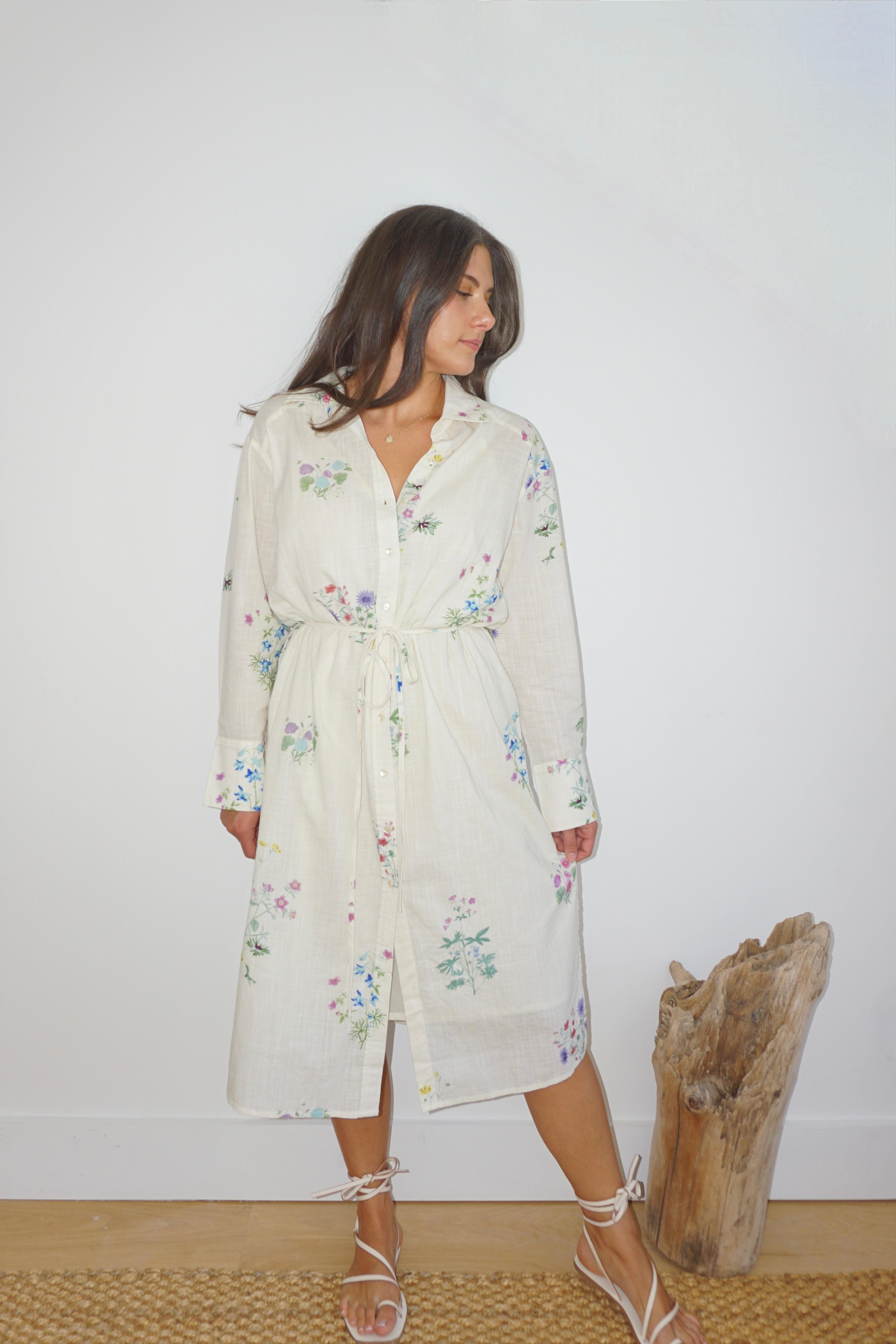 Chambers Midi Dress in Cream Botanical