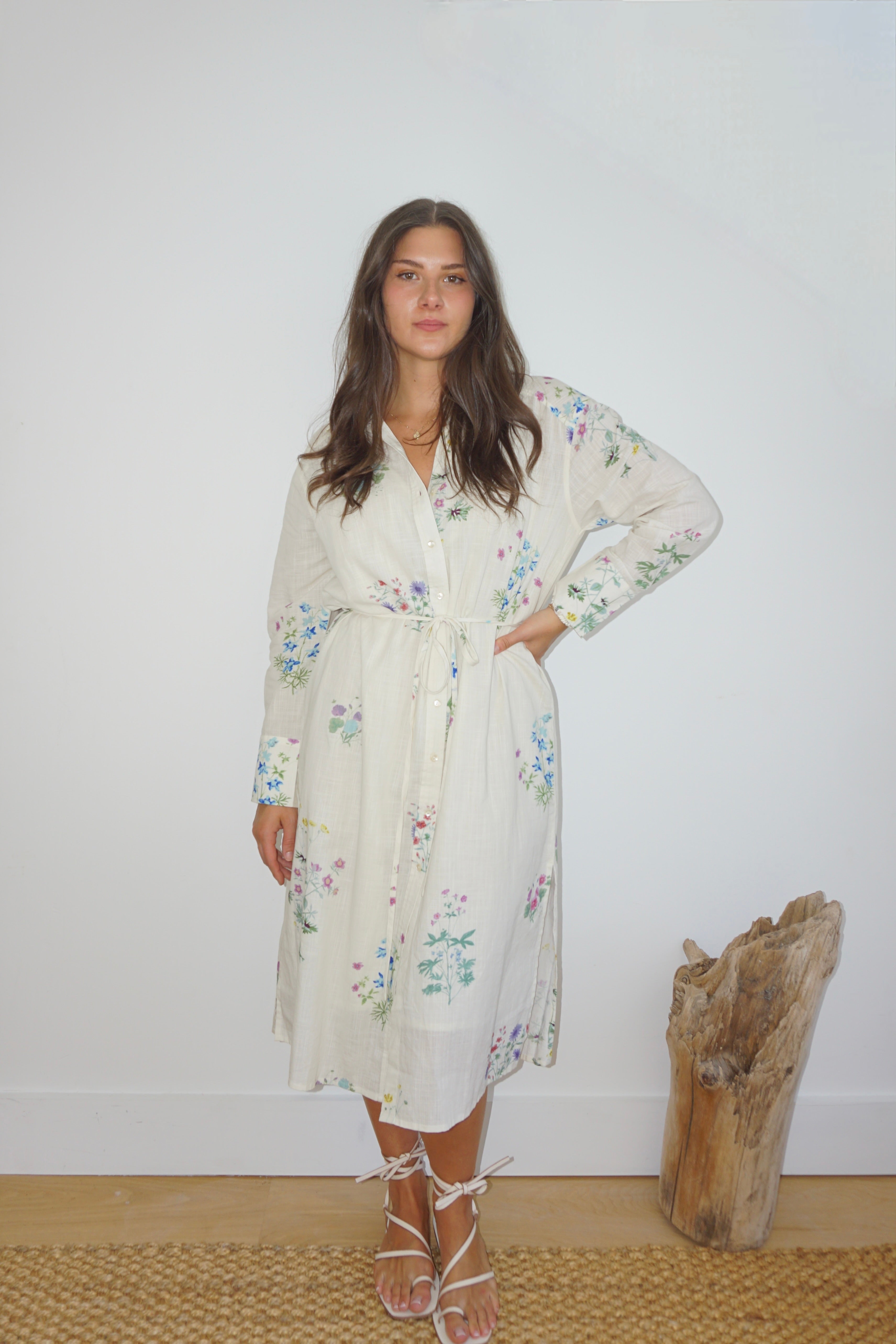 Chambers Midi Dress in Cream Botanical