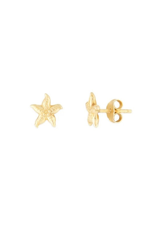 fyb Starfish Studs