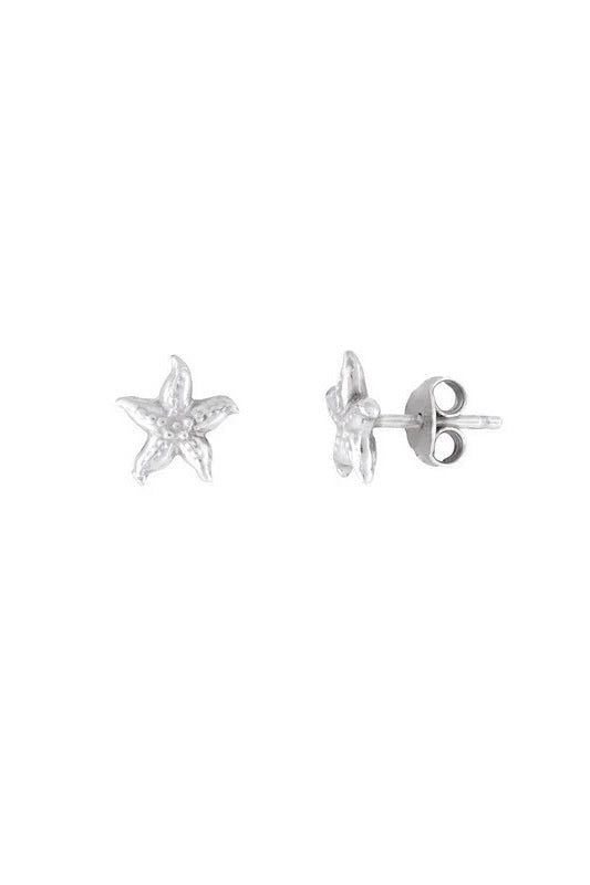fyb Starfish Studs