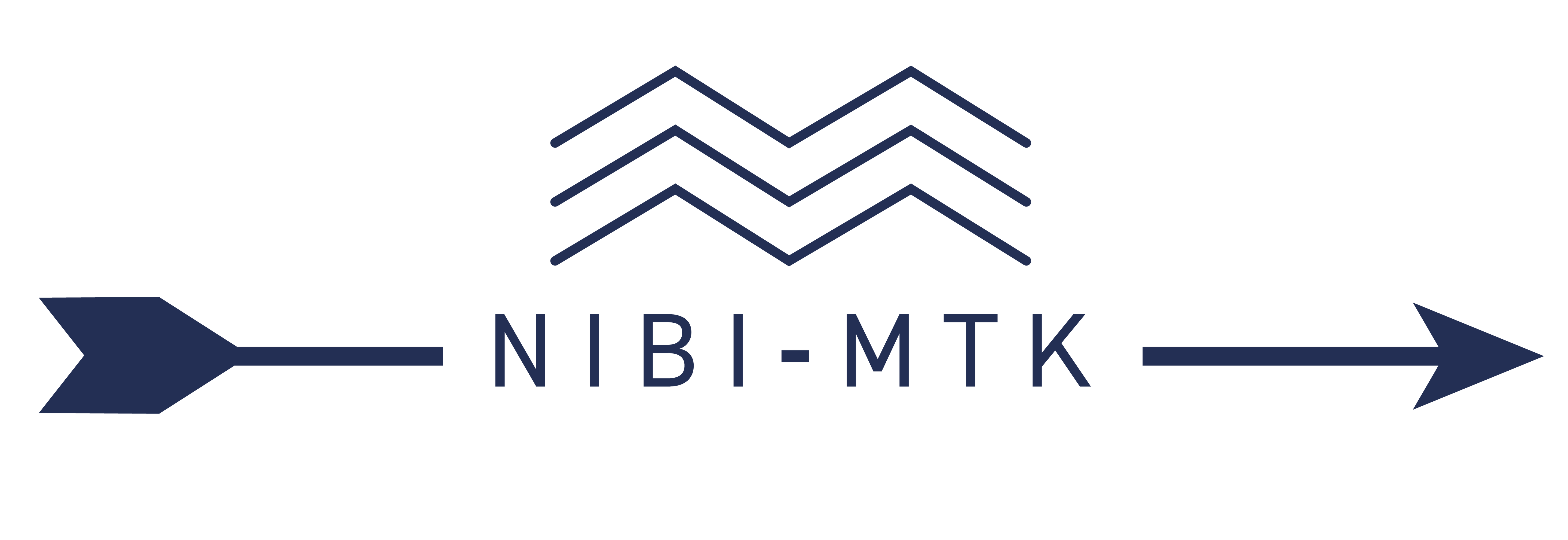 nibimtk.com logo