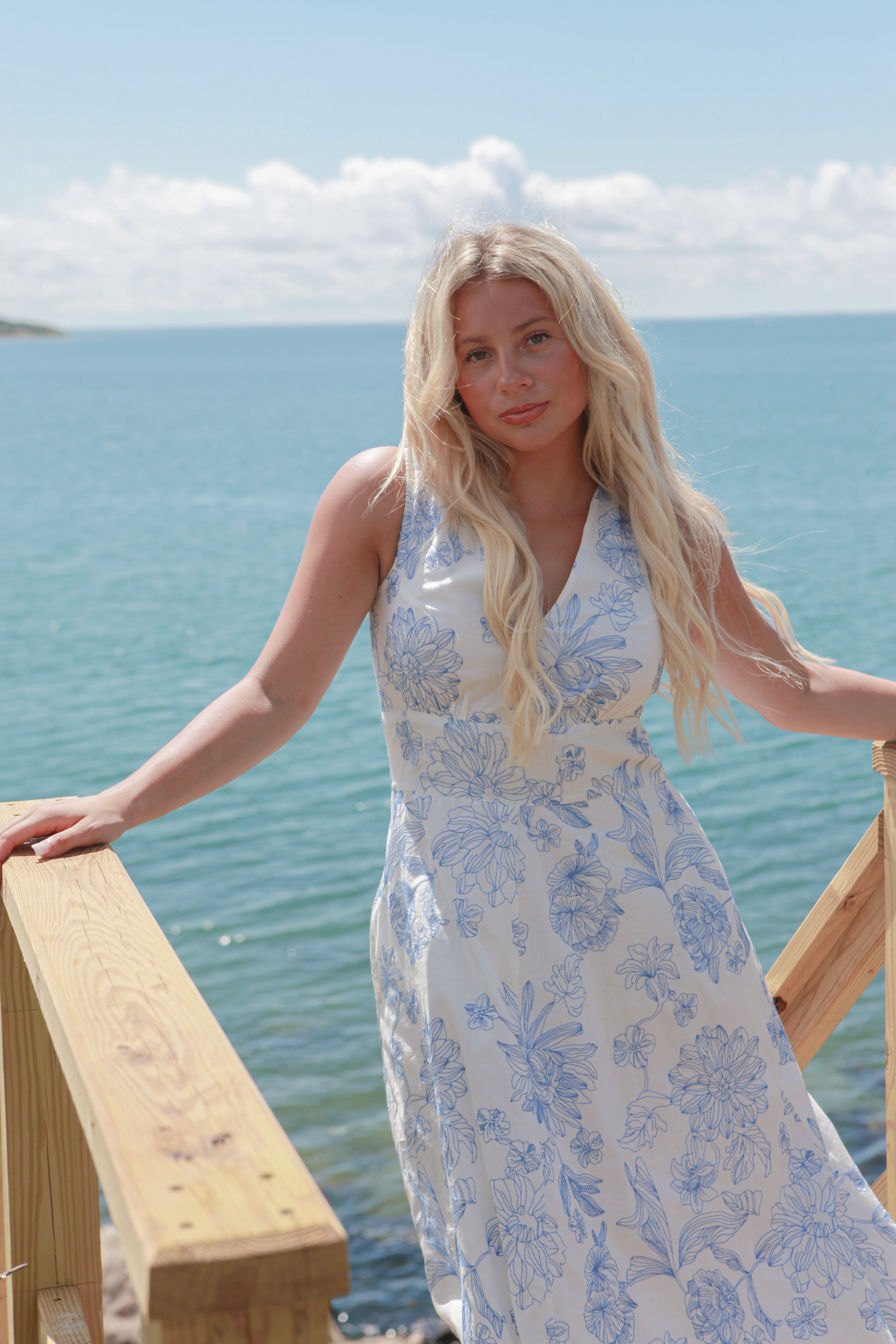 Suzan Dress in Petal Embroidery