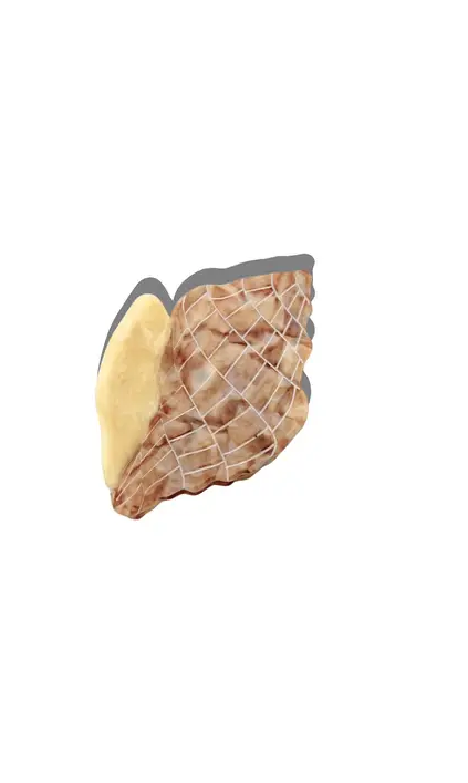 Hand Painted Tulip Conch Shell Claw Hair Clip - Beige