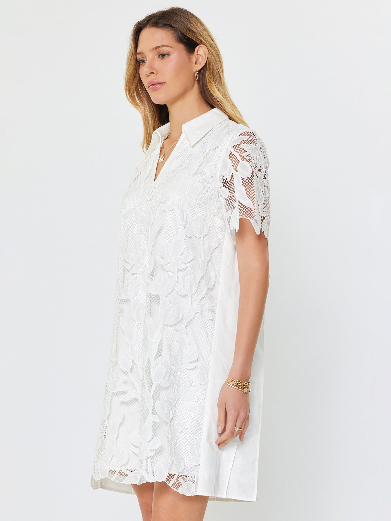 Lace Overlay Collar Dress