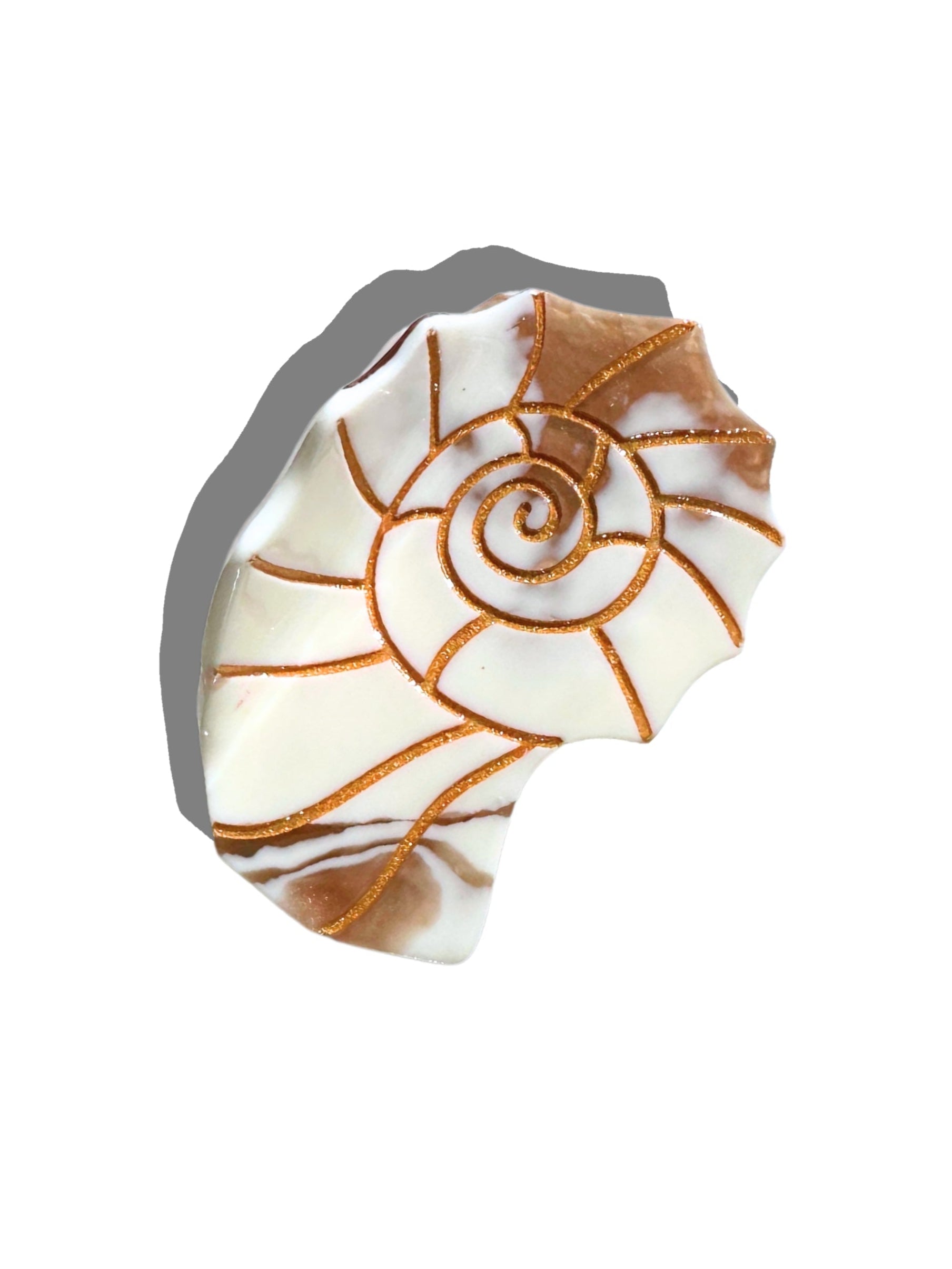 Sundial Shell Claw Clip