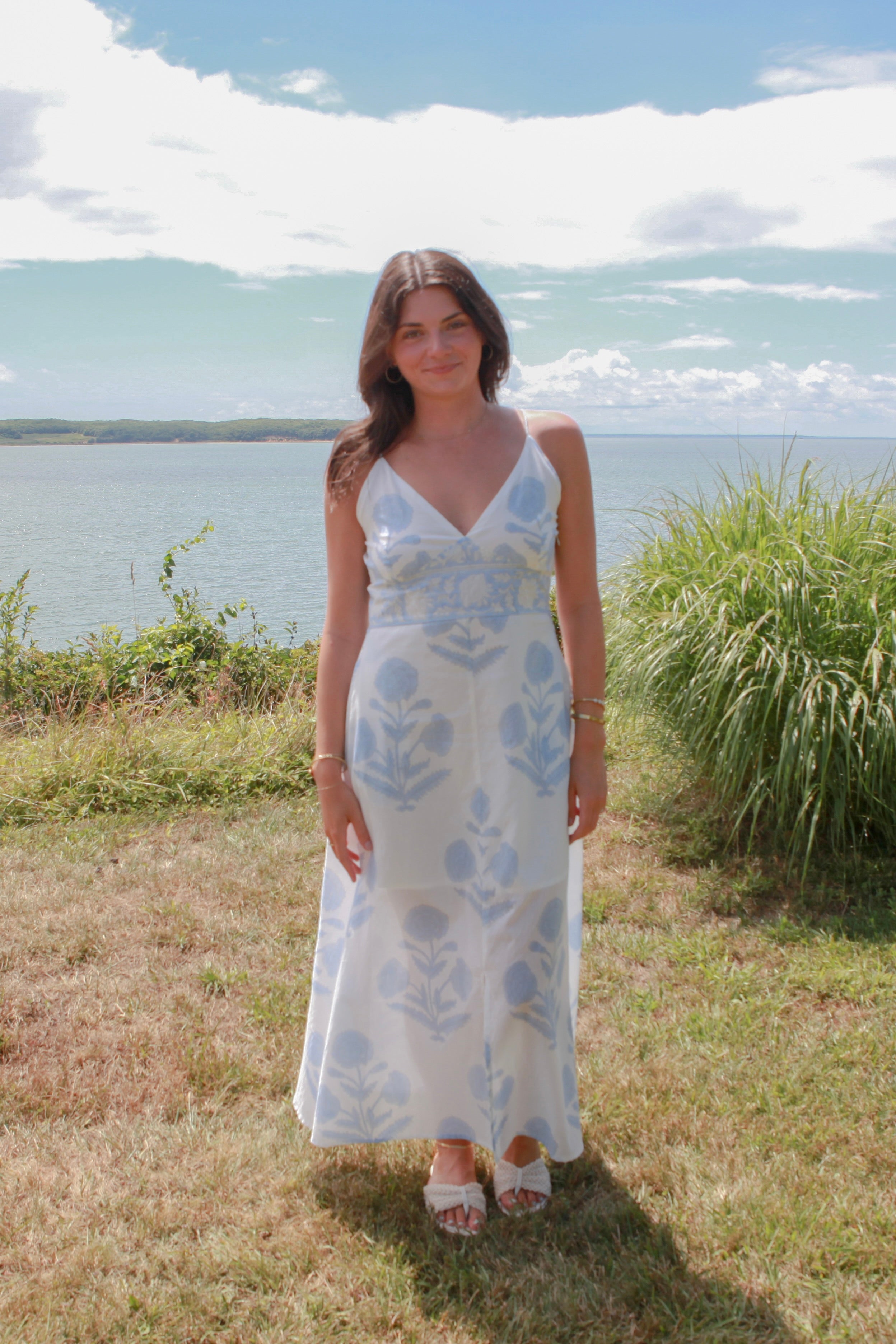 Isabella Dress in Buta Blue