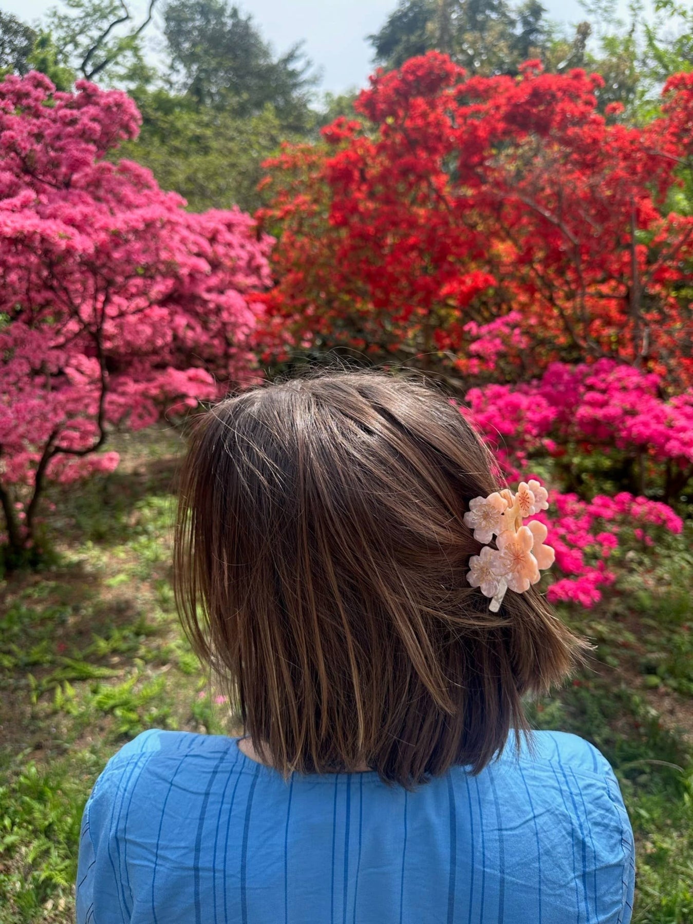 Hand Painted Cherry Blossoms Flower Claw Clip