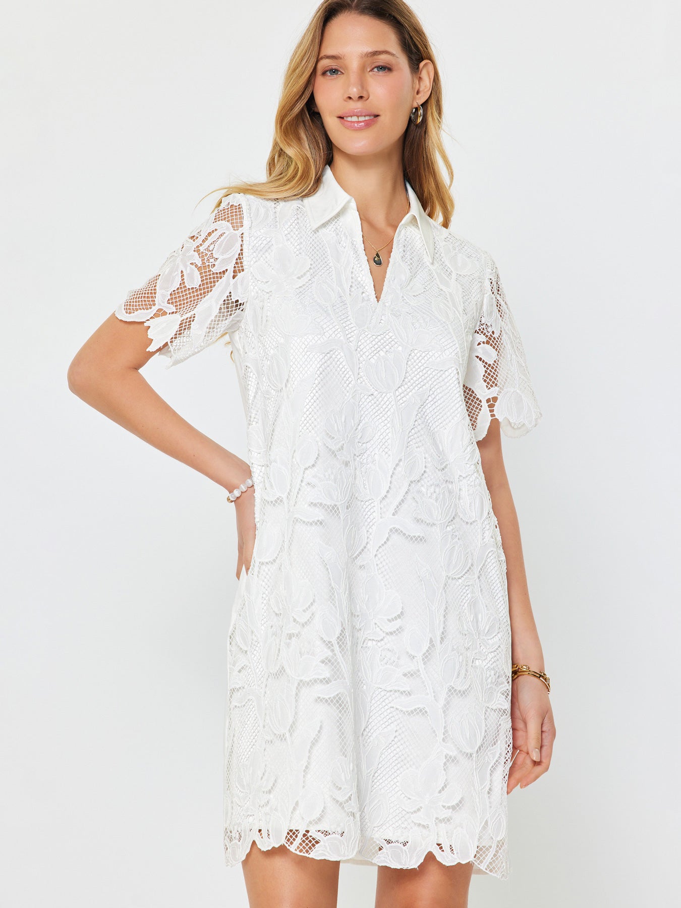 Lace Overlay Collar Dress